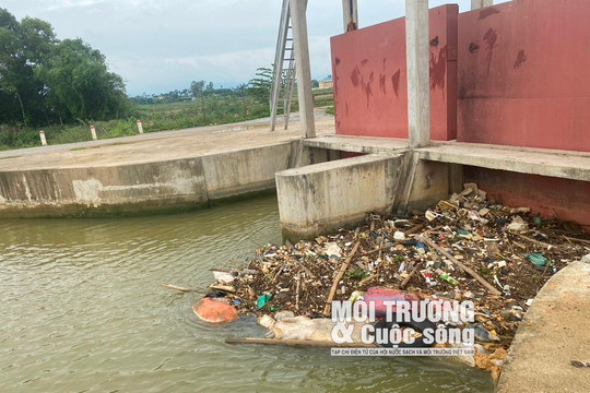 Nghệ An: Huyện Yên Thành chỉ đạo xử lý nghiêm hành vi vứt xác động vật ra môi trường gây ô nhiễm