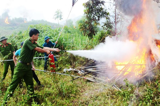 Thái Nguyên: Tổ chức diễn tập phòng cháy, chữa cháy rừng tại xã Phúc Tân