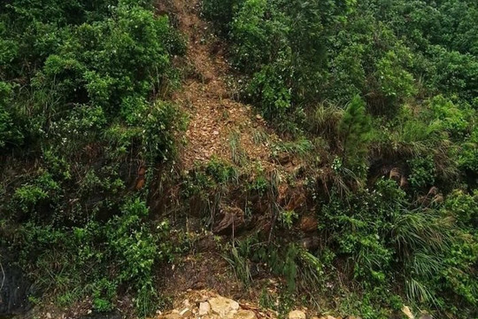 Hà Tĩnh: Mưa lớn gây sạt lở núi Nầm, đất đá tràn xuống QL 8A
