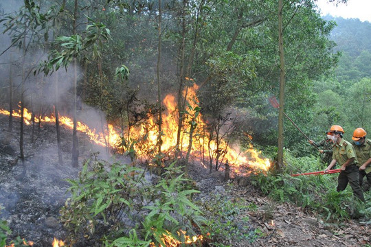 Bắc Giang thực hiện ngay các biện pháp phòng cháy, chữa cháy rừng