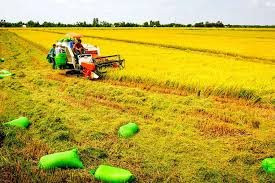 Thúc đẩy kinh tế tuần hoàn trong nông nghiệp, phát triển nông thôn bền vững