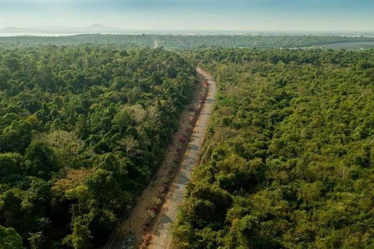 Tác động của biến đổi khí hậu đối với tài nguyên rừng