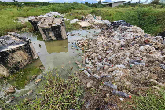 Khánh Hòa: Công ty thủy sản đổ chất thải rắn ra môi trường