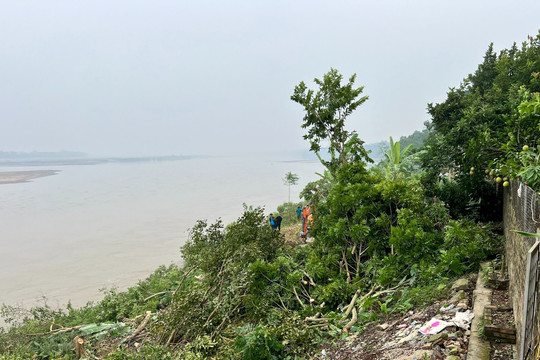 Sạt lở bờ tả sông Thao khiến người dân phải di dời khẩn cấp