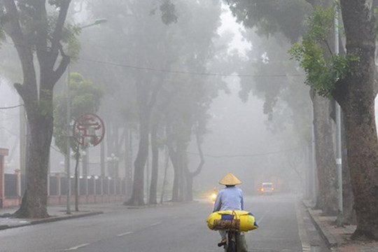 Dự báo thời tiết Hà Nội ngày 25/11: Đêm không mưa, sáng sớm có sương mù nhẹ