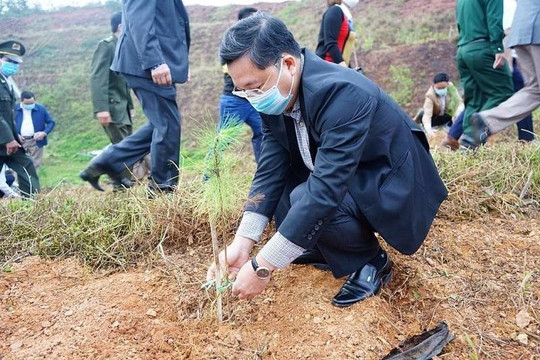 Quảng Nam triển khai trồng cây trên đất trống, bờ ruộng tại thị xã Điện Bàn