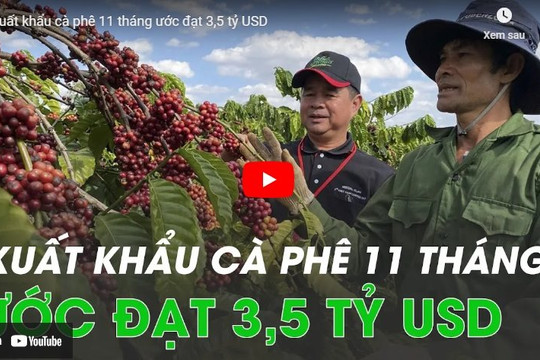 [VIDEO] Xuất khẩu cà phê 11 tháng ước đạt 3,5 tỷ USD