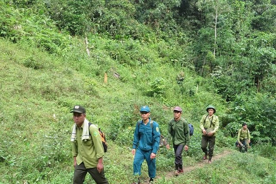 Thanh Hóa làm tốt công tác quản lý, bảo vệ và phát triển rừng