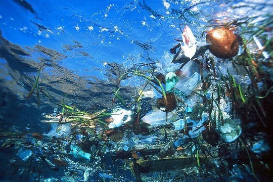 Rác thải nhựa đại dương và hành động của các nước ASEAN