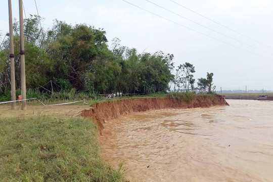Quảng Nam có gần 100 vị trí ven sông có nguy cơ sạt lở 
