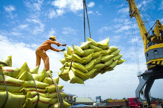 Giá gạo của Việt Nam có mức cao nhất trong vòng hơn 15 năm qua