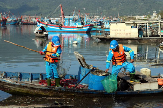 Giảm thiểu ô nhiễm môi trường tại Âu thuyền Thọ Quang