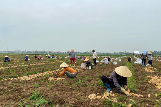 Thanh Hóa: Chú trọng công tác bảo vệ môi trường trong phát triển nông nghiệp