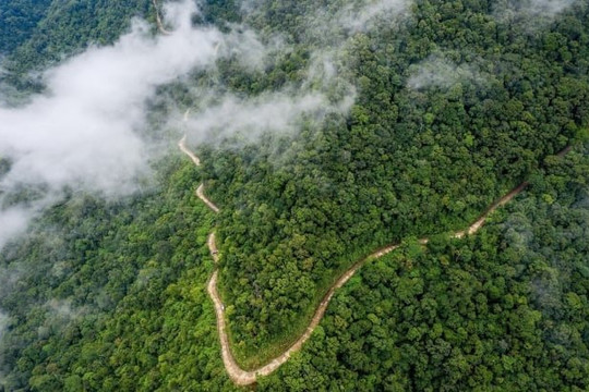 Tỷ lệ che phủ rừng ở Phú Yên đạt 47% trong năm 2023