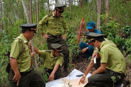 Tỷ lệ che phủ rừng ở Phú Yên đạt 47%