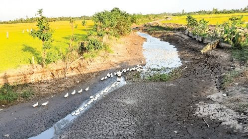 Đồng bằng sông Cửu Long: Khả năng thiếu hơn 10% nước ngọt trong mùa khô năm nay