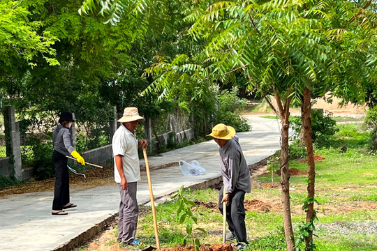 Bình Thuận: TP. Phan Thiết trồng hơn 10.000 cây xanh các loại