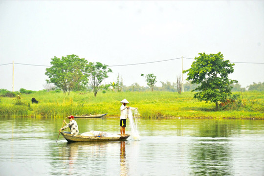 Quảng Nam định hướng phát triển hài hòa hệ sinh thái sông Thu Bồn