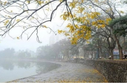 Dự báo thời tiết Hà Nội ngày 14/1: Có mưa, gió nhẹ, trời rét
