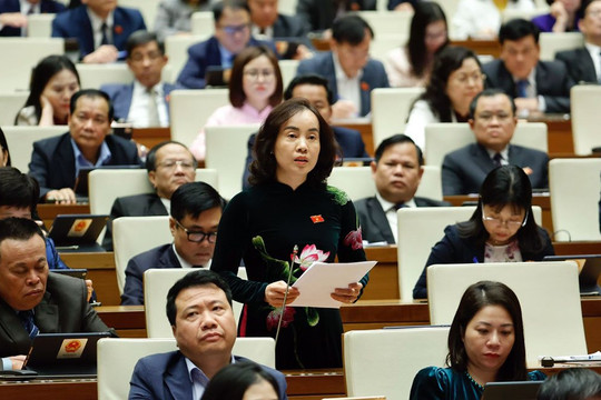Đại biểu Quốc hội Nguyễn Thị Kim Anh: Lo ngại việc chuyển mục đích sử dụng đất lúa, đất rừng