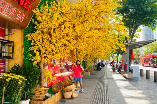 TP. Hồ Chí Minh sẽ đón đợt nắng nóng kéo dài đến hết Tết Nguyên đán 2024