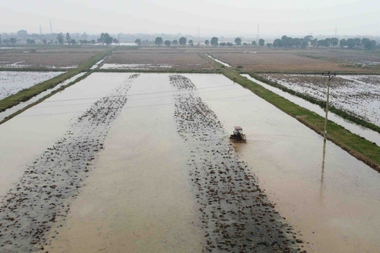 Kiến nghị địa phương sử dụng nước phục vụ gieo cấy vụ Đông Xuân tiết kiệm, hiệu quả