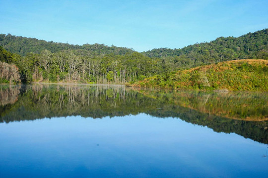 Lâm Đồng tăng cường công tác quản lý, bảo vệ rừng