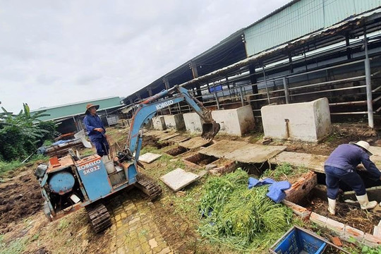 Phú Yên: TP. Tuy Hoà tăng cường đảm bảo vệ sinh môi trường khu vực lò mổ gia súc, gia cầm
