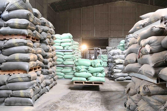 Xuất cấp hơn 7.000 tấn gạo hỗ trợ nhân dân 9 tỉnh dịp Tết Giáp Thìn và giáp hạt