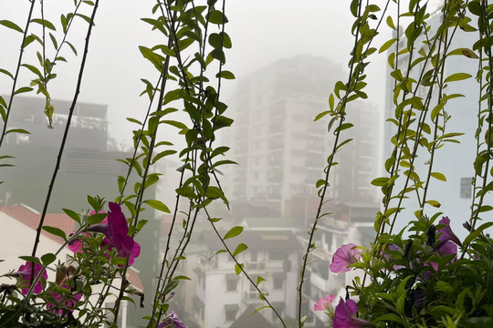 Dự báo thời tiết Hà Nội ngày 15/2: Sáng sớm có sương mù, ngày có mưa nhỏ rải rác