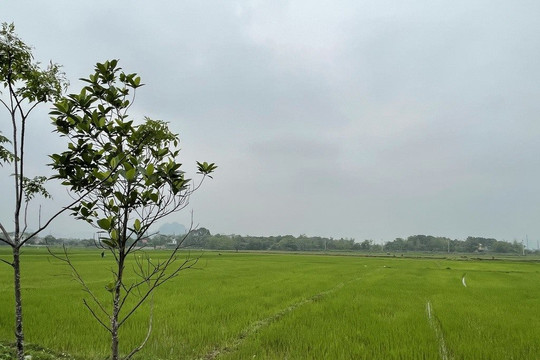 Thanh tra Chính phủ chỉ rõ loạt dự án vi phạm về đất đai ở tỉnh Ninh Bình 