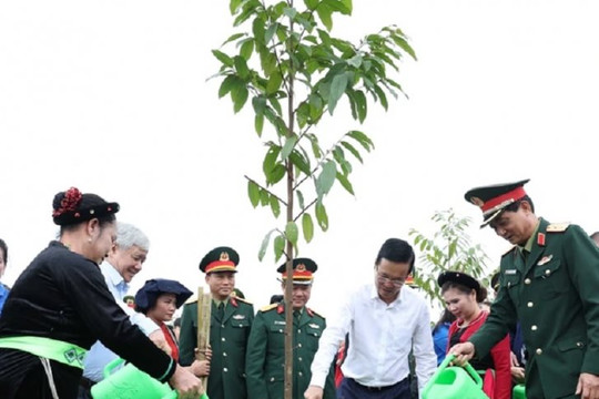 Chủ tịch nước phát động Tết trồng cây Xuân Giáp Thìn 2024 tại Tuyên Quang