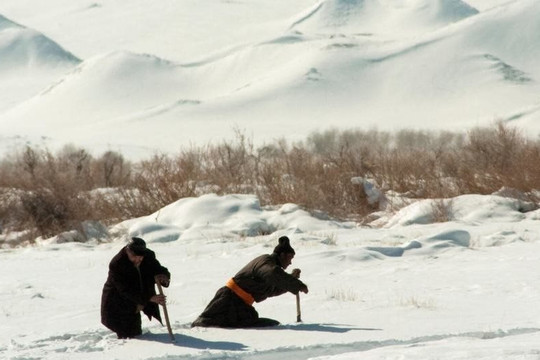 Mông Cổ cảnh báo lũ lụt do băng tuyết tan nhanh
