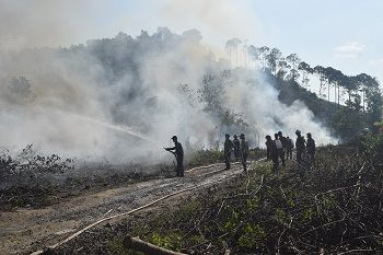 Đồng Nai tăng cường phòng, chống cháy rừng mùa khô
