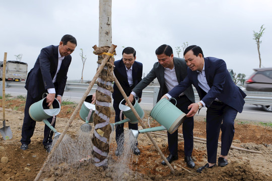 Thanh Hóa: Phấn đấu trồng 3 triệu cây xanh trong dịp Tết trồng cây Xuân Giáp Thìn 2024