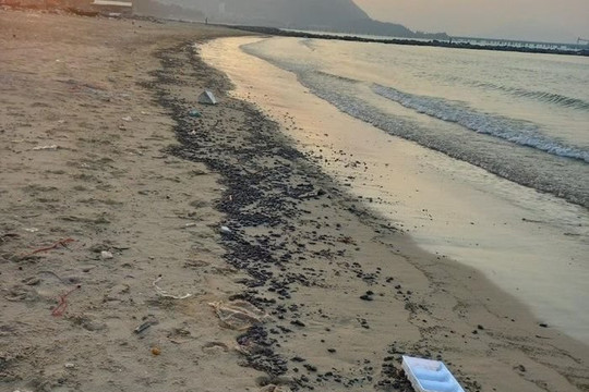 Làm rõ nguyên nhân xuất hiện dầu hắc trôi dạt vào bờ biển ở Hà Tĩnh