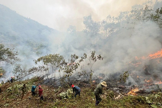 Xuất hiện gió Ô Quý Hồ, Lào Cai tăng cường biện pháp phòng cháy, chữa cháy rừng 