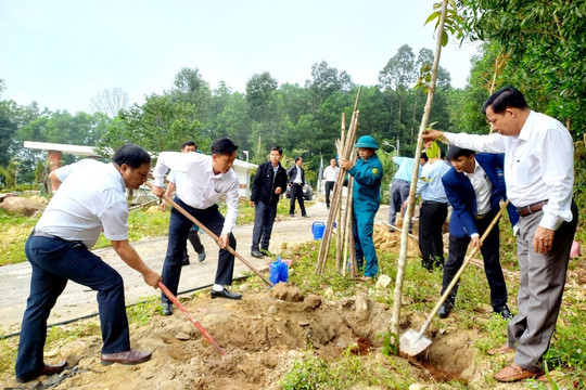 Quảng Nam: Huyện Quế Sơn phát động “Tết trồng cây đời đời nhớ ơn Bác Hồ”