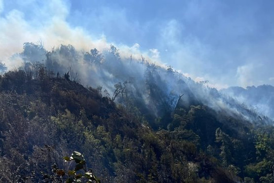 Lào Cai: Vụ cháy rừng ở Vườn quốc gia Hoàng Liên cơ bản được khống chế