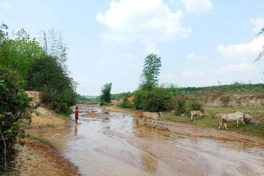 Kon Tum: Nguy cơ khô hạn thiếu nước diện rộng từ tháng 3 đến tháng 5