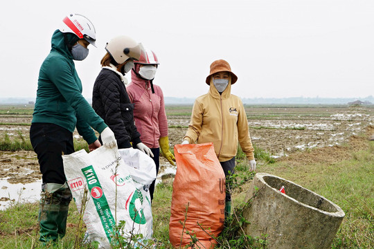 Quảng Trị dựng 3.500 bể chứa bao gói thuốc bảo vệ thực vật sau sử dụng