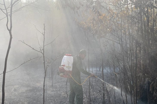 Kiên Giang: Rừng Phú Quốc cảnh báo cháy cấp độ V