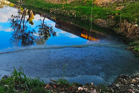 Kiểm tra, rà soát, xử lý tình hình ô nhiễm môi trường tại các hồ trên địa bàn tỉnh Lâm Đồng