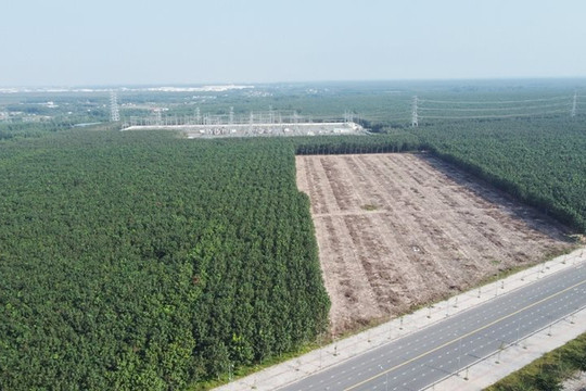 Đồng Nai chuyển đổi rừng sản xuất để thực hiện tái định cư dự án cao tốc Biên Hòa - Vũng Tàu