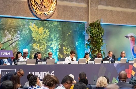Hội đồng Môi trường Liên hợp quốc: Thúc đẩy bảo tồn và quản lý đất đai bền vững