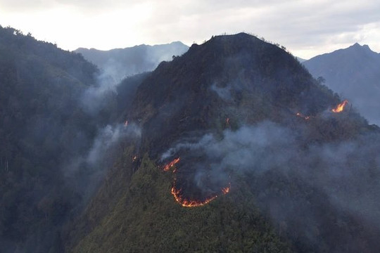 Tái diễn gió Ô Quý Hồ nguy hiểm, nguy cơ cháy rừng tại Sa Pa tăng cao