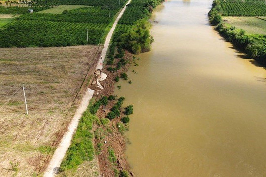 Sạt lở 10 km bờ sông, Đắk Nông kiến nghị Bộ TN&MT điều tra nguyên nhân