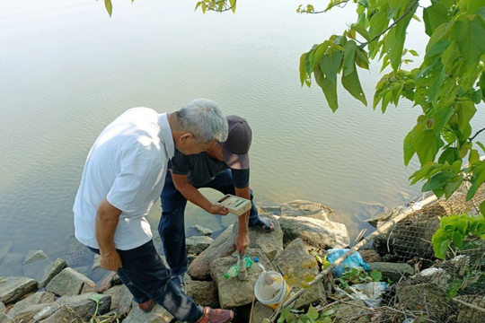 Quảng Nam: Huyện Duy Xuyên tập trung ứng phó xâm nhập mặn