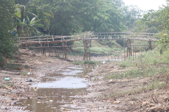 Hàng ngàn hộ dân Cà Mau đối mặt nguy cơ thiếu nước sinh hoạt