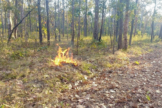 Đắk Lắk khẩn trương triển khai các giải pháp phòng cháy, chữa cháy rừng